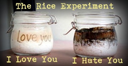 RiceExperiment